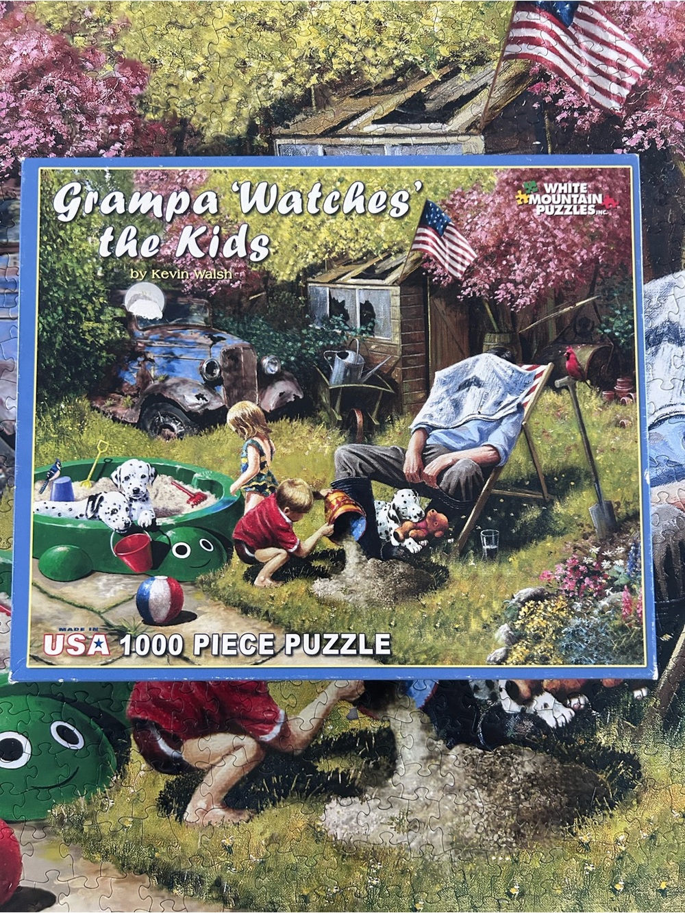 White Mountain 1000 Piece Jigsaw Puzzle Grampa Watches The Kids 2011 Complete